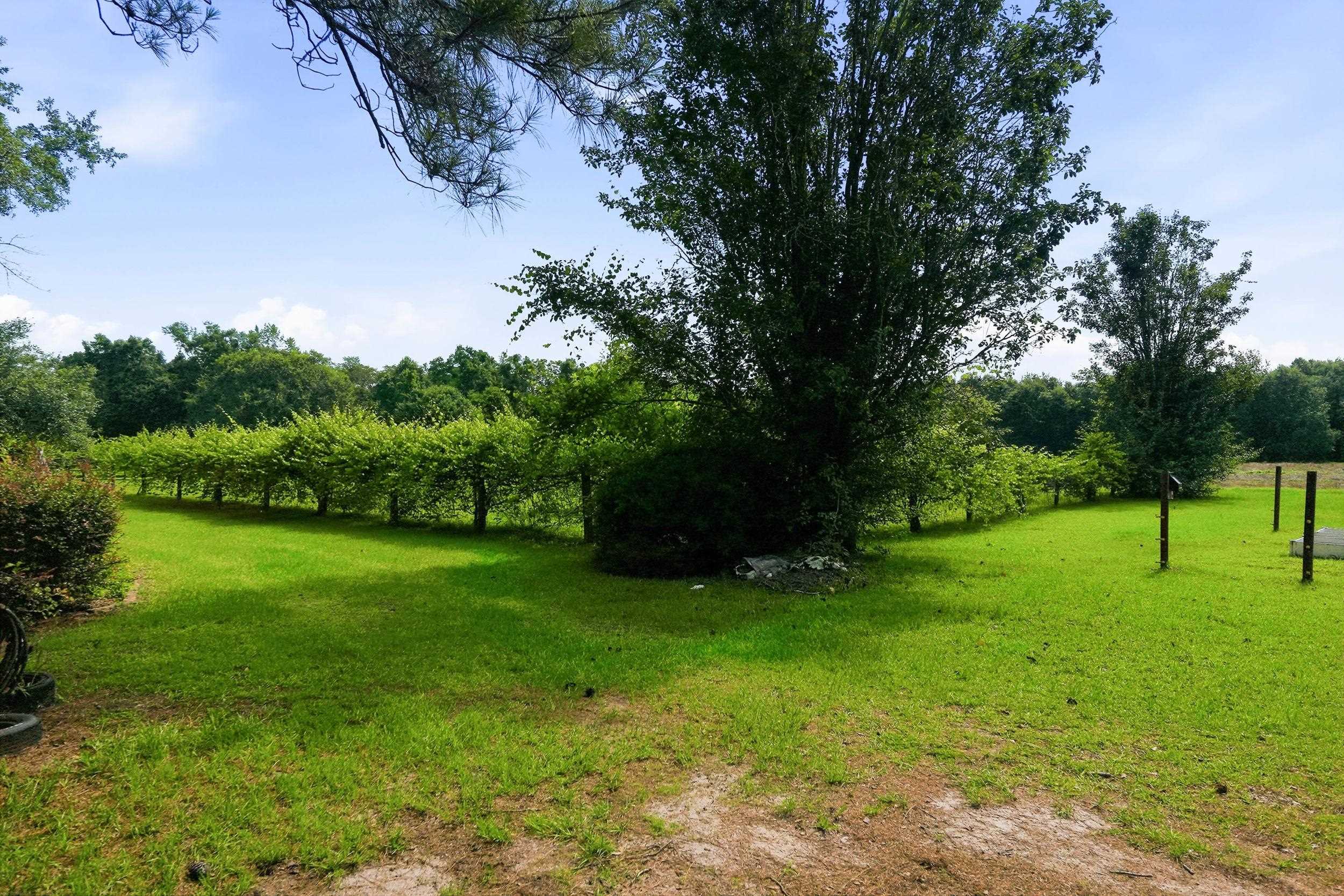 2051 Rook Road Ochlocknee, GA 31773 - Photo 42 of 52