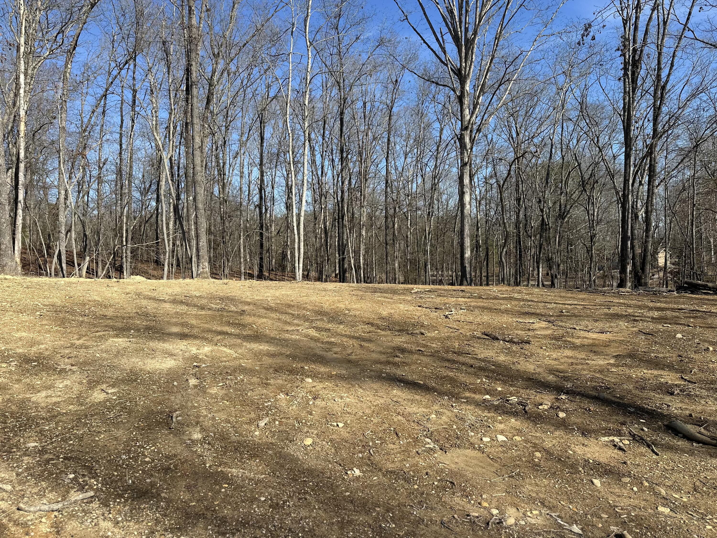 700 Ewing Cemetery Road Spring City, TN 37381 - Photo 32 of 34 IMG_0916