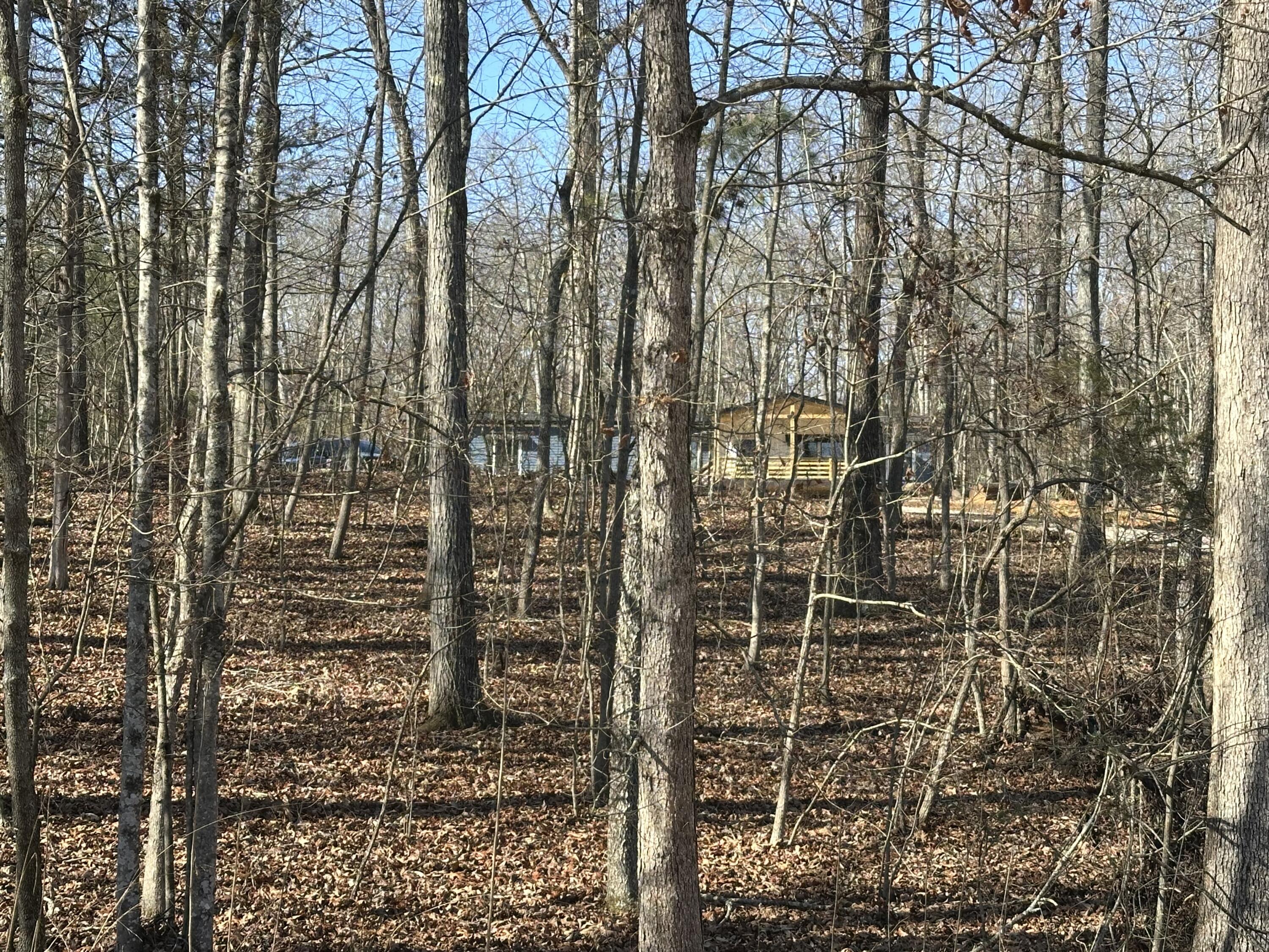 700 Ewing Cemetery Road Spring City, TN 37381 - Photo 33 of 34 IMG_0926