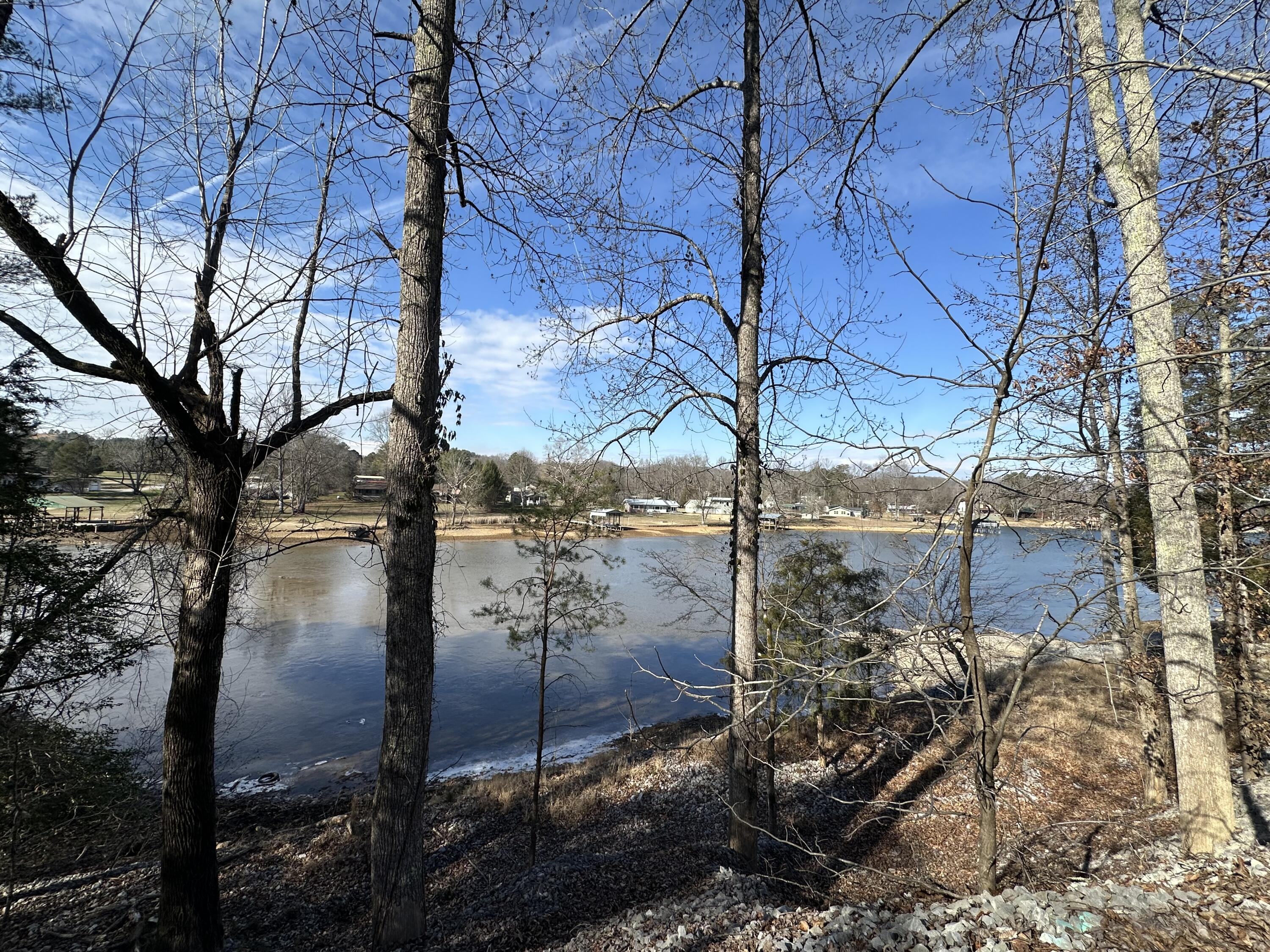 700 Ewing Cemetery Road Spring City, TN 37381 - Photo 34 of 34 IMG_0927