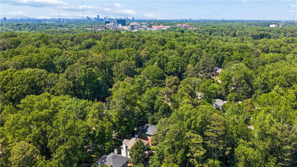 795 North Parkwood Road Decatur, GA 30030 - Photo 50 of 50 a view of a green field with lots of bushes