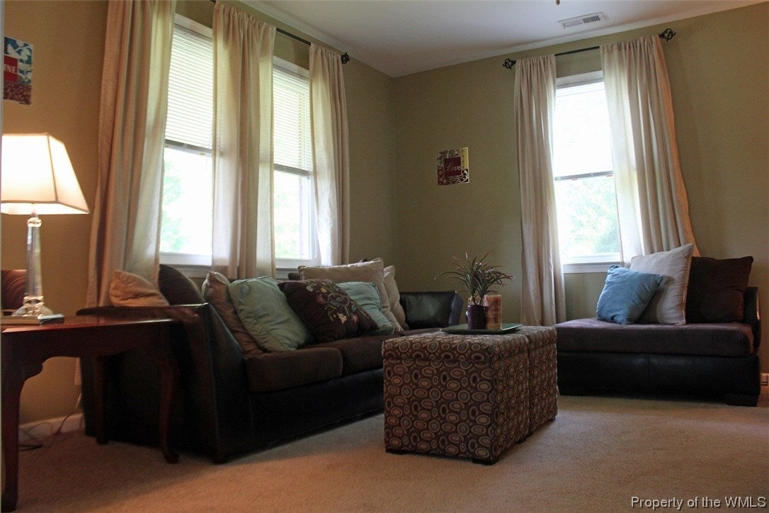 16101 Cooks Mill Road Lanexa, VA 23089 - Photo 3 of 14 Gallery Image 3