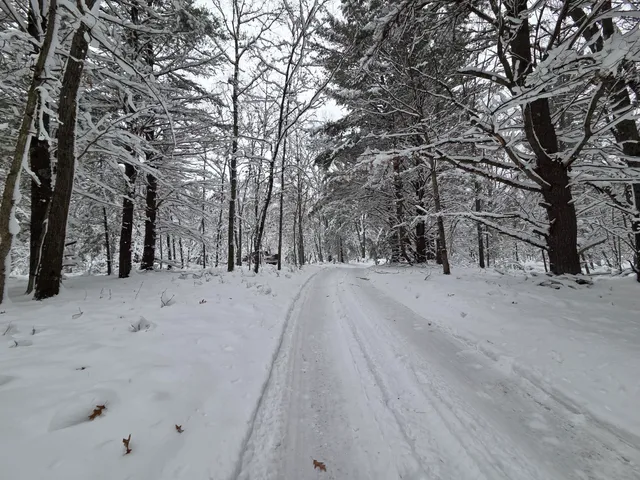 $59,900 | V/l V/l Abermanis Trail, Luther, MI 49656