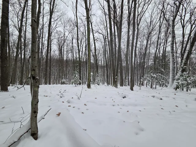 $59,900 | V/l V/l Abermanis Trail, Luther, MI 49656