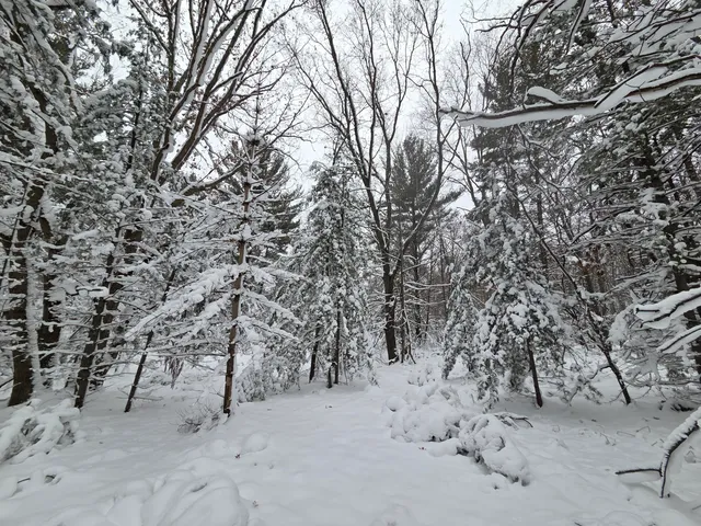 $59,900 | V/l V/l Abermanis Trail, Luther, MI 49656