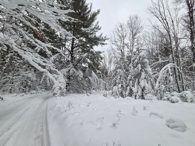 $59,900 | V/l V/l Abermanis Trail, Luther, MI 49656