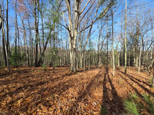 $59,900 | V/l V/l Abermanis Trail, Luther, MI 49656