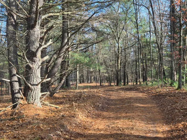 $59,900 | V/l V/l Abermanis Trail, Luther, MI 49656