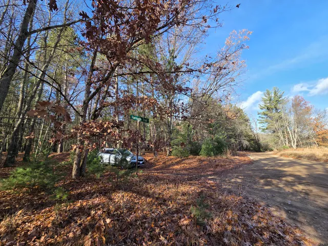 $59,900 | V/l V/l Abermanis Trail, Luther, MI 49656