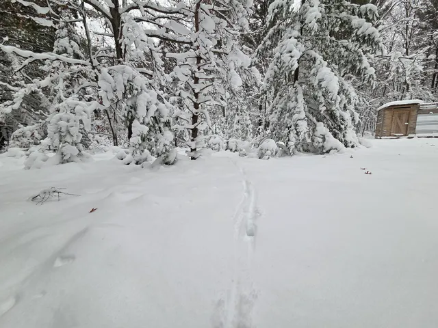 $59,900 | V/l V/l Abermanis Trail, Luther, MI 49656