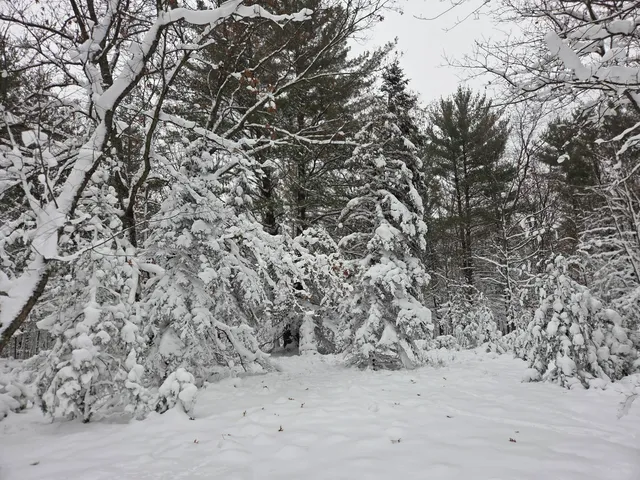 $59,900 | V/l V/l Abermanis Trail, Luther, MI 49656