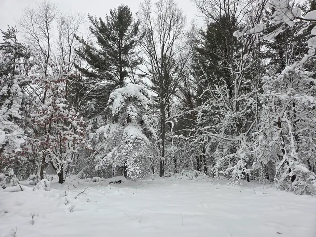 $59,900 | V/l V/l Abermanis Trail, Luther, MI 49656