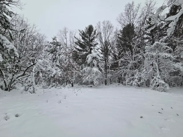 $59,900 | V/l V/l Abermanis Trail, Luther, MI 49656