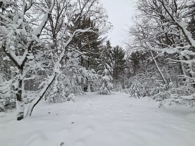 $59,900 | V/l V/l Abermanis Trail, Luther, MI 49656