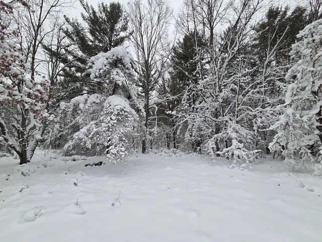 $59,900 | V/l V/l Abermanis Trail, Luther, MI 49656