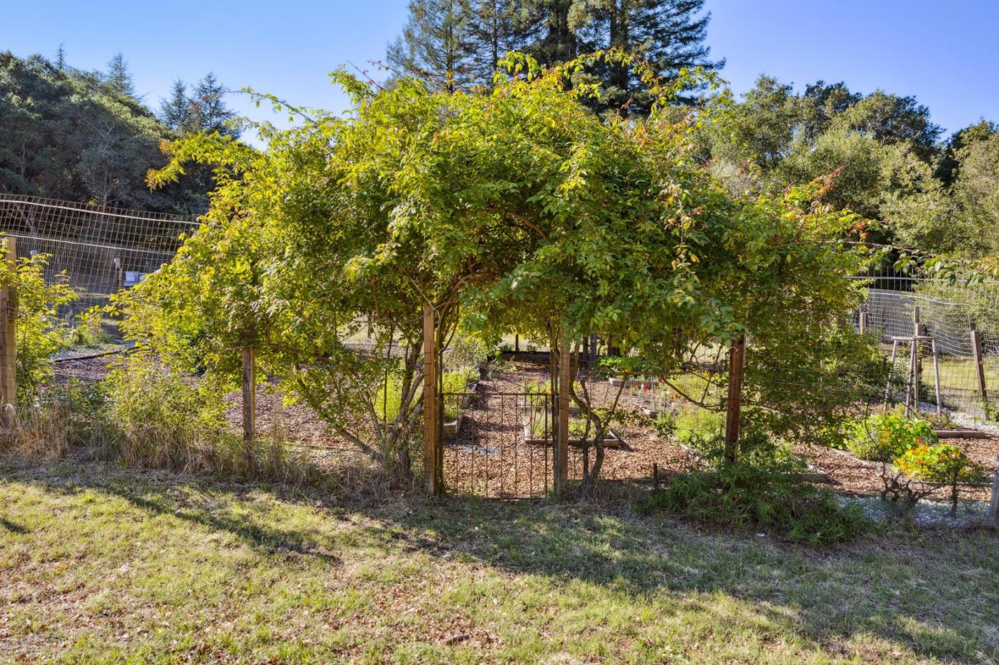 653 Larkin Valley Road Watsonville, CA 95076 - Photo 80 of 116
