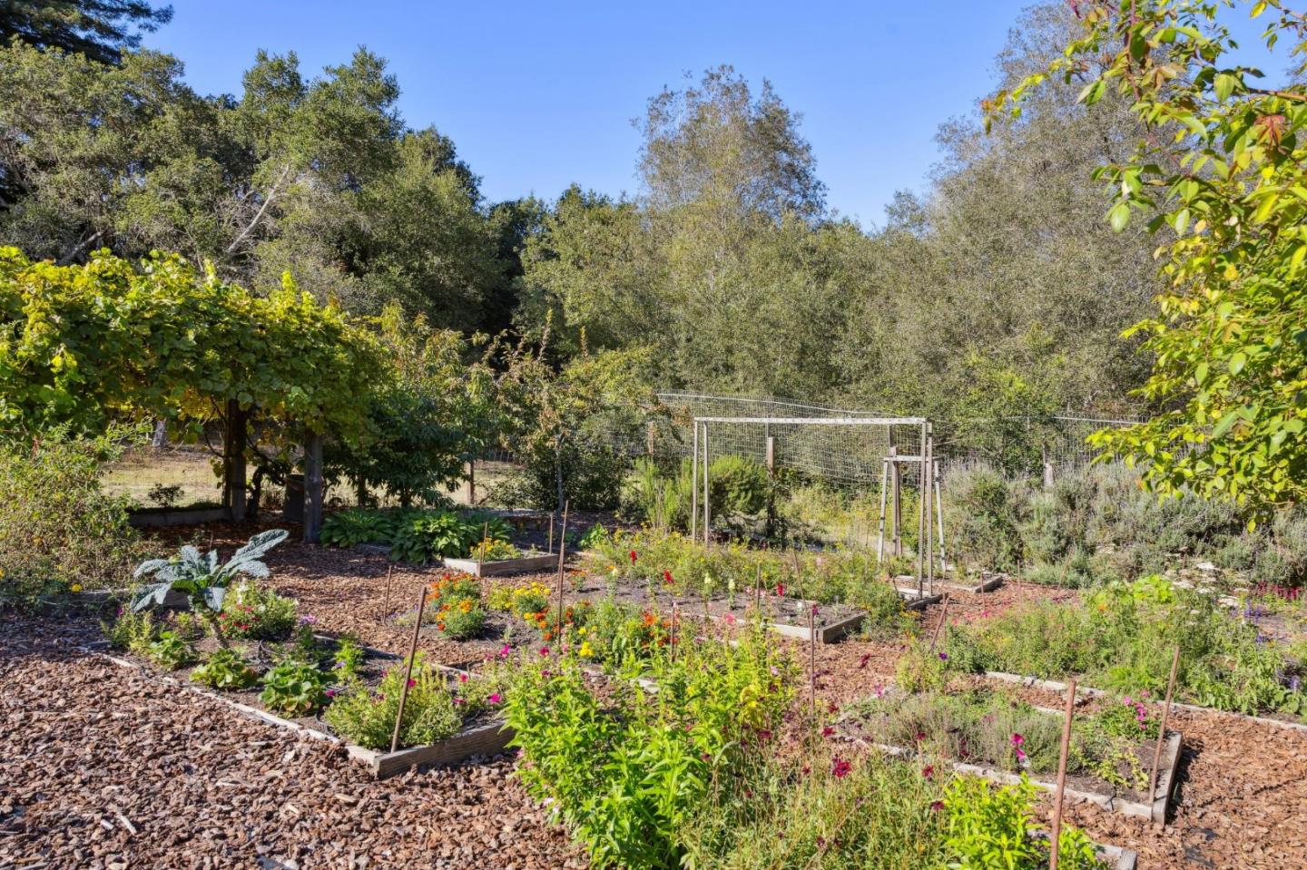 653 Larkin Valley Road Watsonville, CA 95076 - Photo 81 of 116