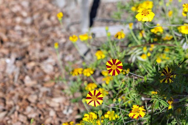 $1,900,000 | 653 Larkin Valley Road, Watsonville, CA 95076