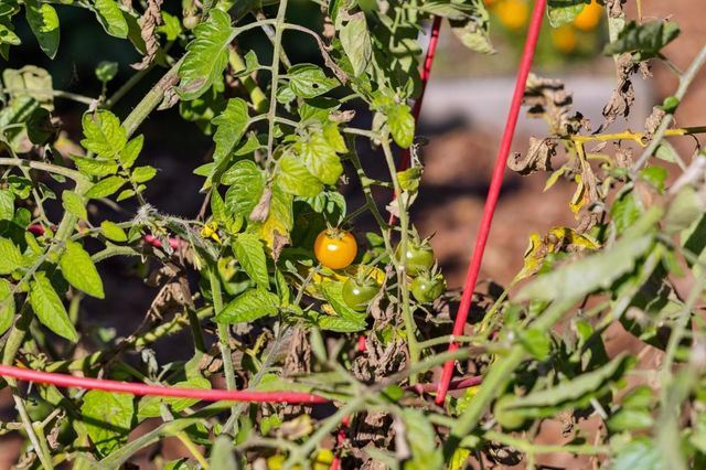 $1,900,000 | 653 Larkin Valley Road, Watsonville, CA 95076