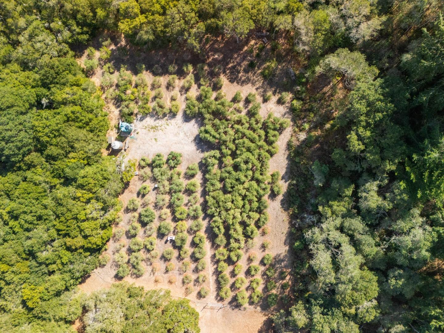 653 Larkin Valley Road Watsonville, CA 95076 - Photo 94 of 116