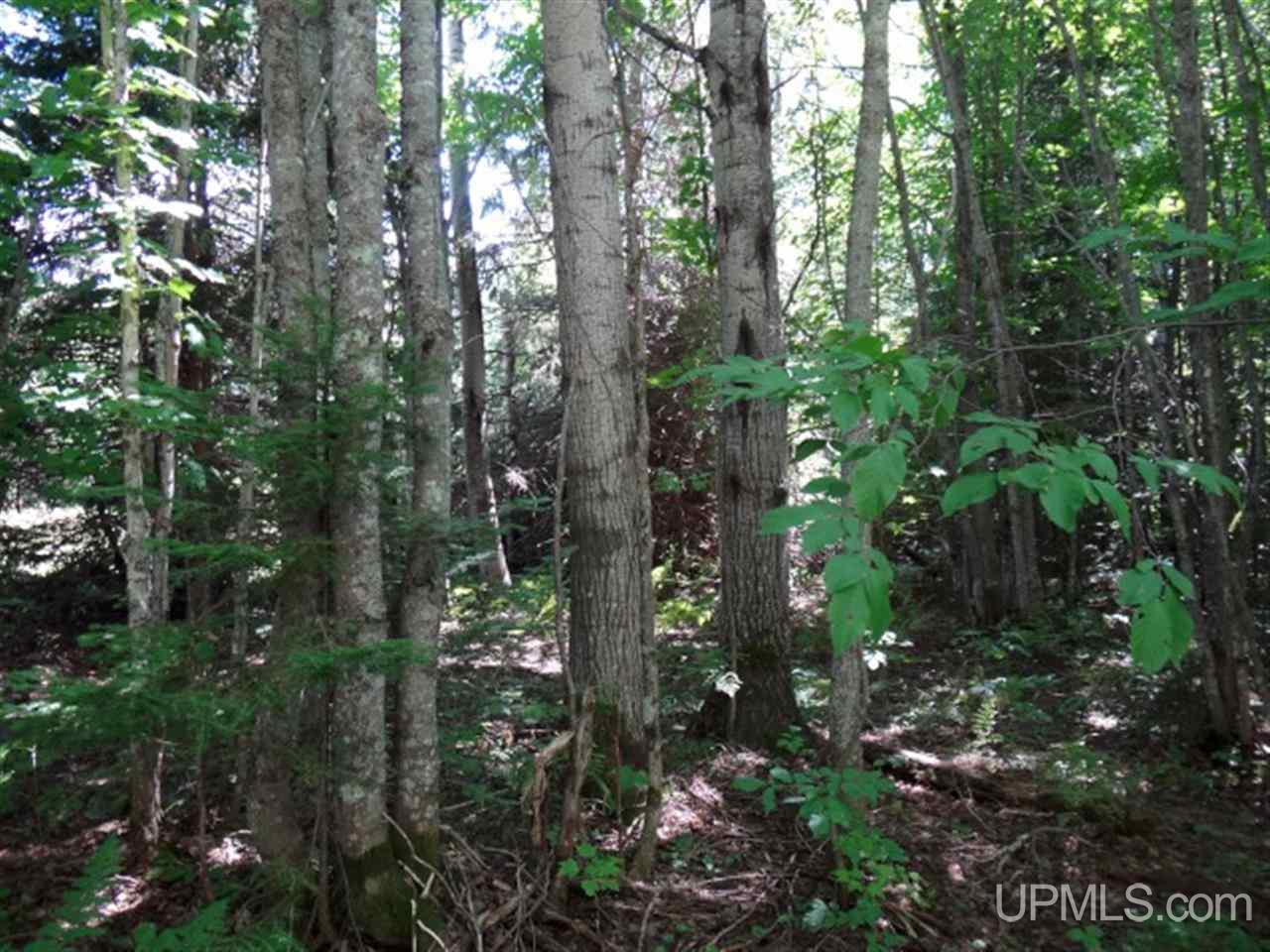 39547 Jaasko Road Toivola, MI 49965 - Photo 17 of 18 Gallery Image 17