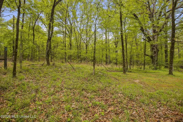 $799,000 | 108 Antlers Lane, Madison, MS 39110