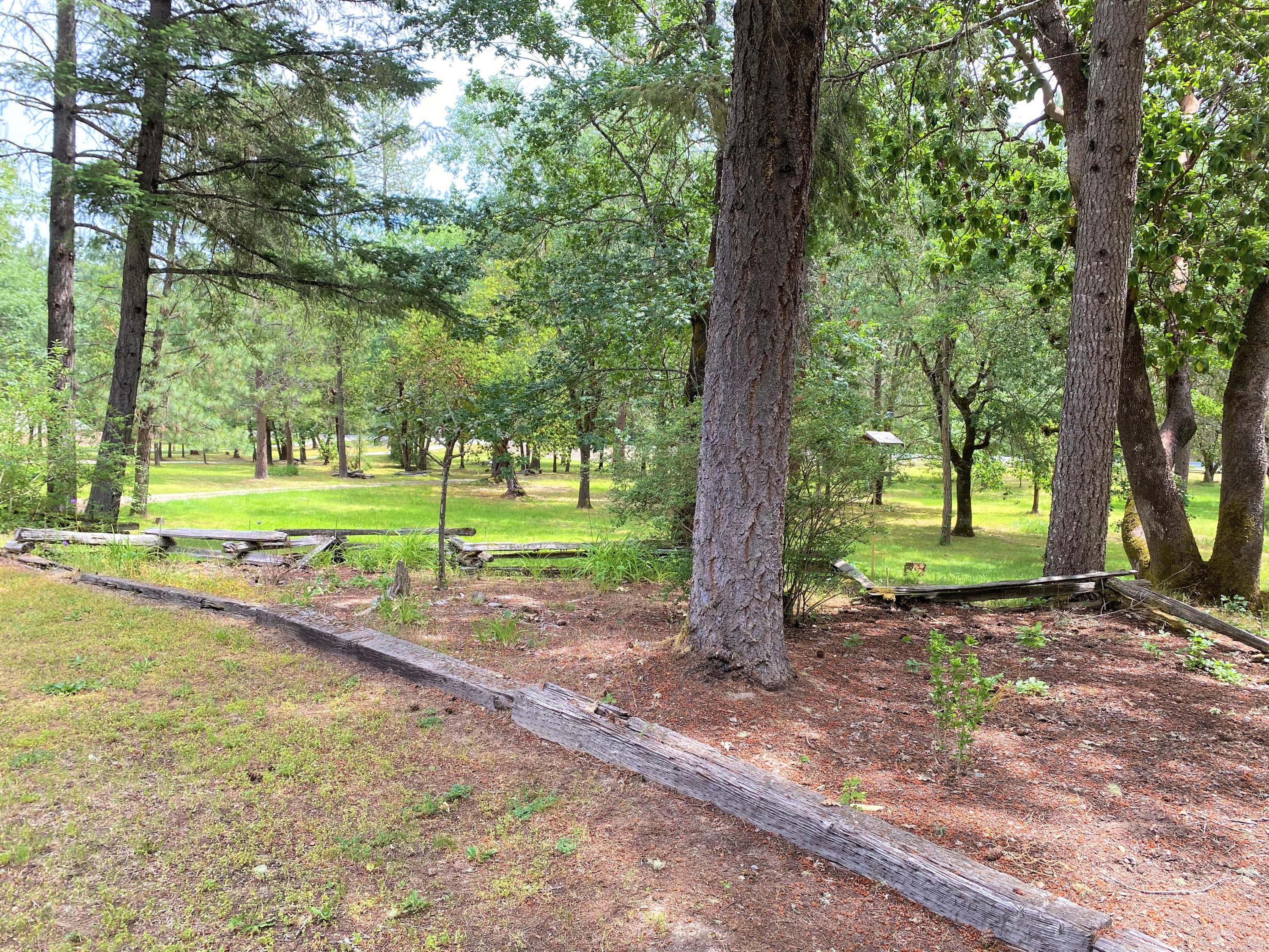 8417 Lower River Road Grants Pass, OR 97526 - Photo 25 of 29 Looking Towards Road