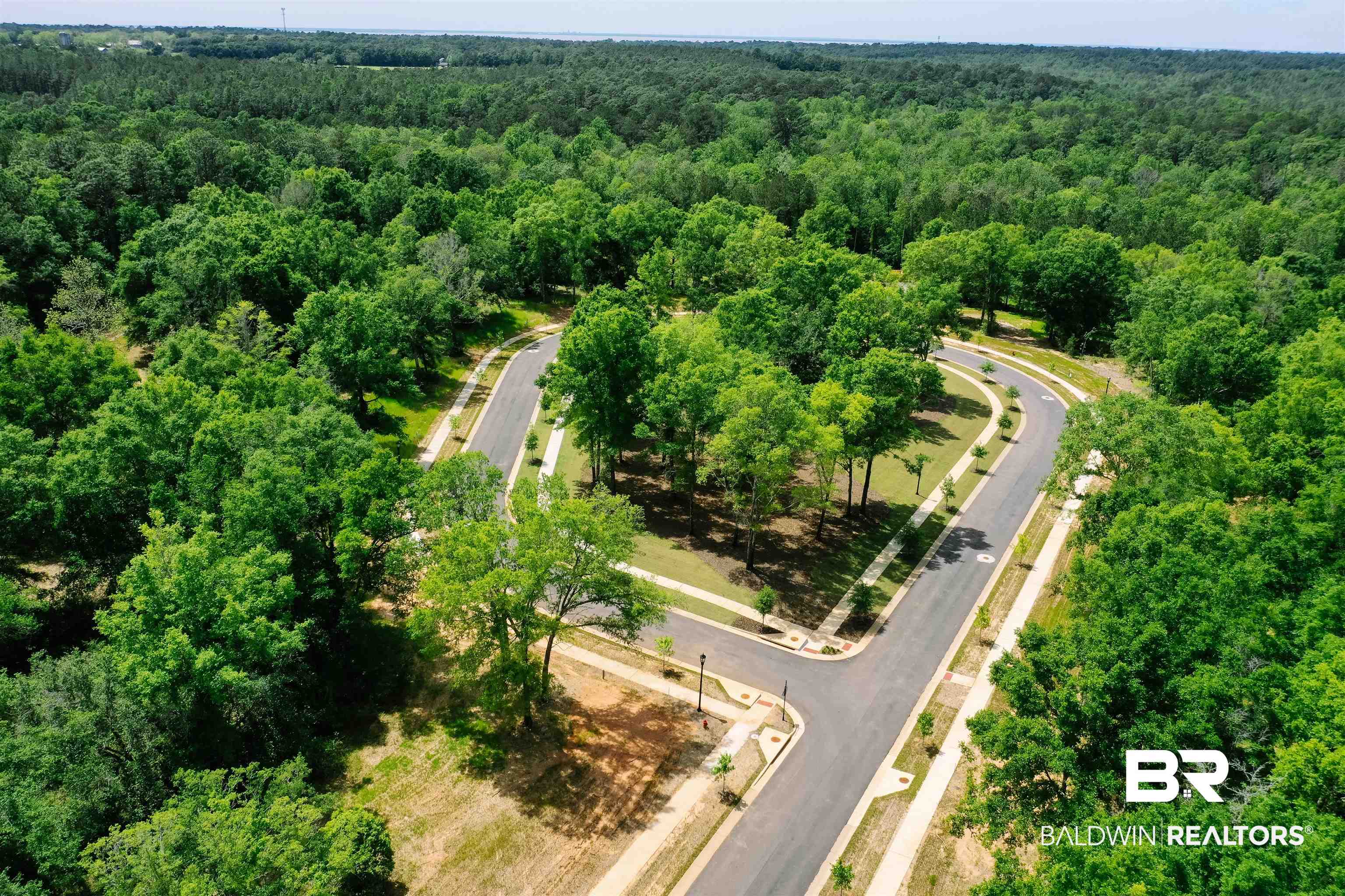 217 Castlands Court Fairhope, AL 36532 - Photo 9 of 15