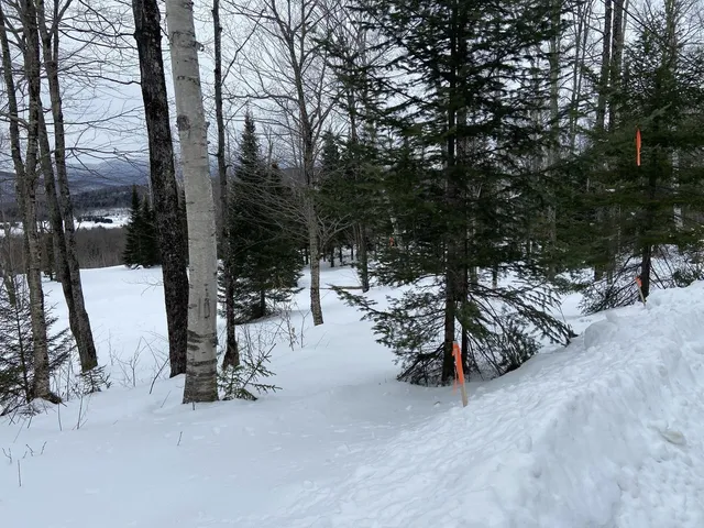 $325,000 | 48 Alberts Lane, Warren, VT 05674