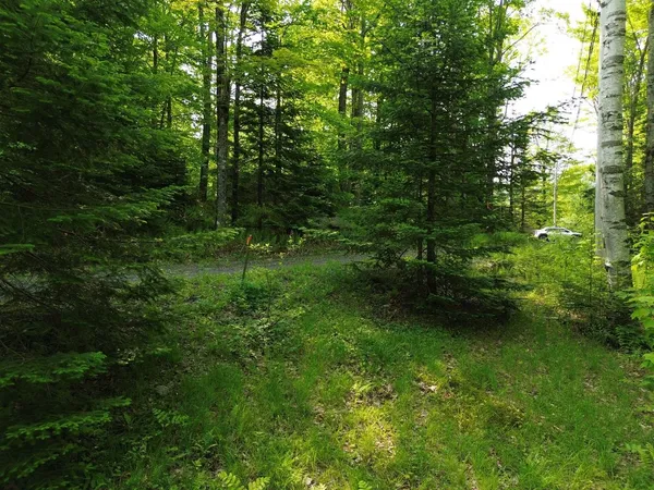 $325,000 | 48 Alberts Lane, Warren, VT 05674