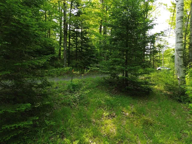 $325,000 | 48 Alberts Lane, Warren, VT 05674