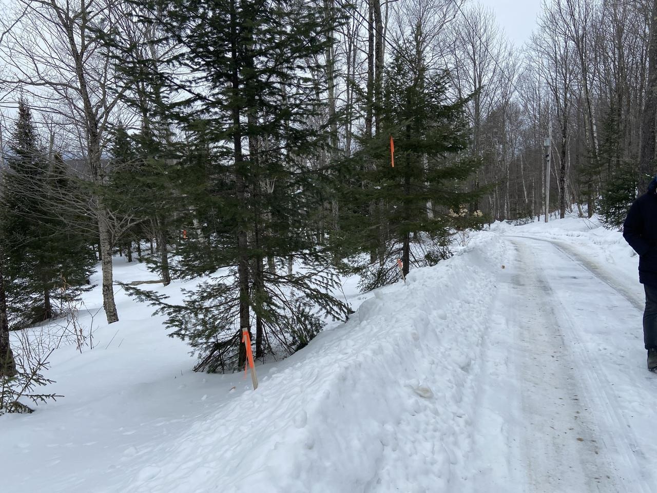 48 Alberts Lane Warren, VT 05674 - Photo 2 of 16