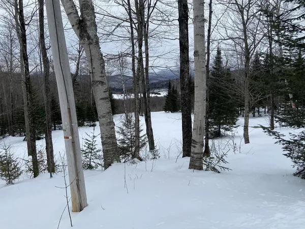 $325,000 | 48 Alberts Lane, Warren, VT 05674