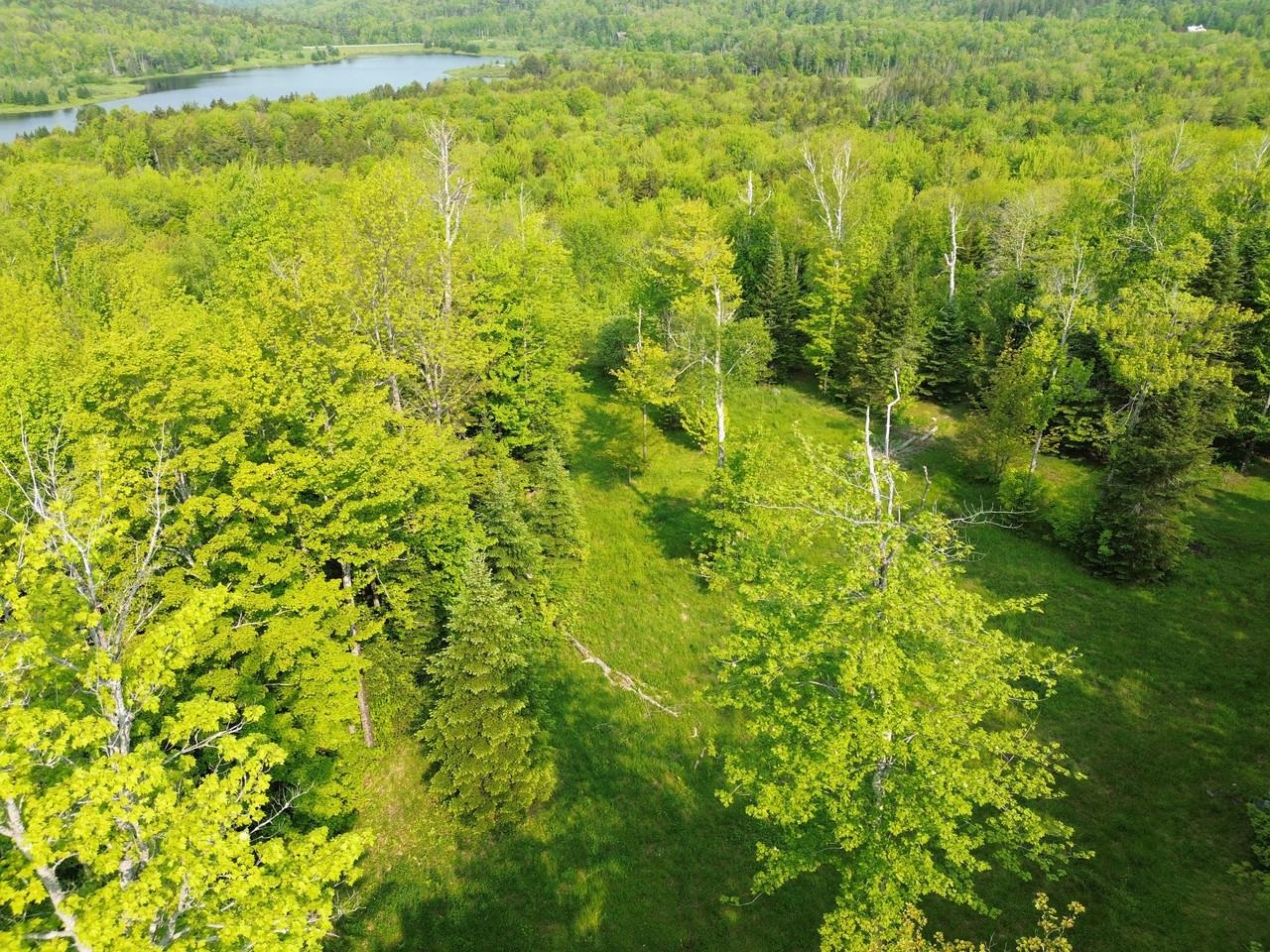 48 Alberts Lane Warren, VT 05674 - Photo 7 of 16