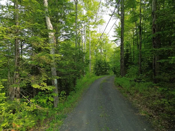 $325,000 | 48 Alberts Lane, Warren, VT 05674