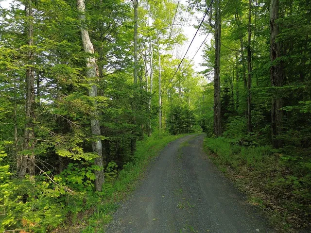 $325,000 | 48 Alberts Lane, Warren, VT 05674