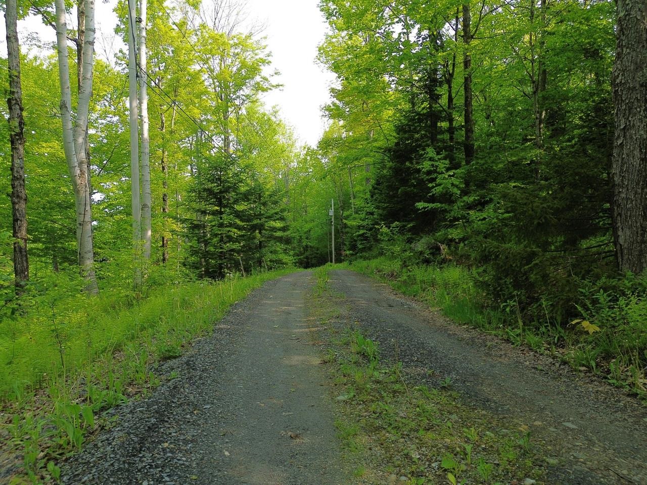 48 Alberts Lane Warren, VT 05674 - Photo 9 of 16