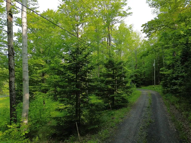 $325,000 | 48 Alberts Lane, Warren, VT 05674