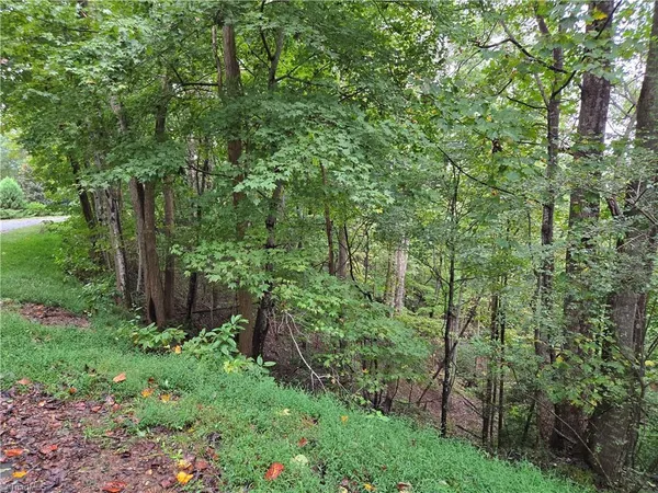 $145,000 | 0 Waterside Drive, Lake Lure, NC 28746