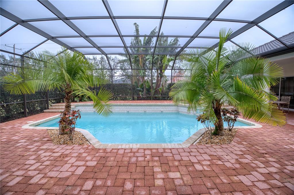 10523 Cheval Place Lakewood Ranch, FL 34202 - Photo 47 of 52 a view of yard