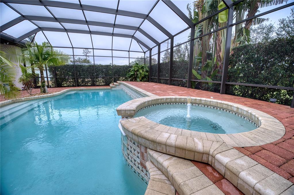 10523 Cheval Place Lakewood Ranch, FL 34202 - Photo 50 of 52 a view of a swimming pool with a patio