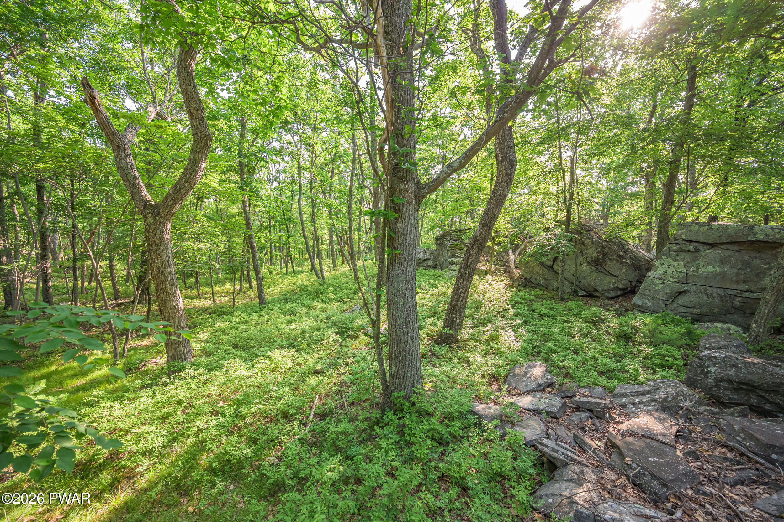 High Ridge Dingmans Ferry, PA 18328 - Photo 33 of 63
