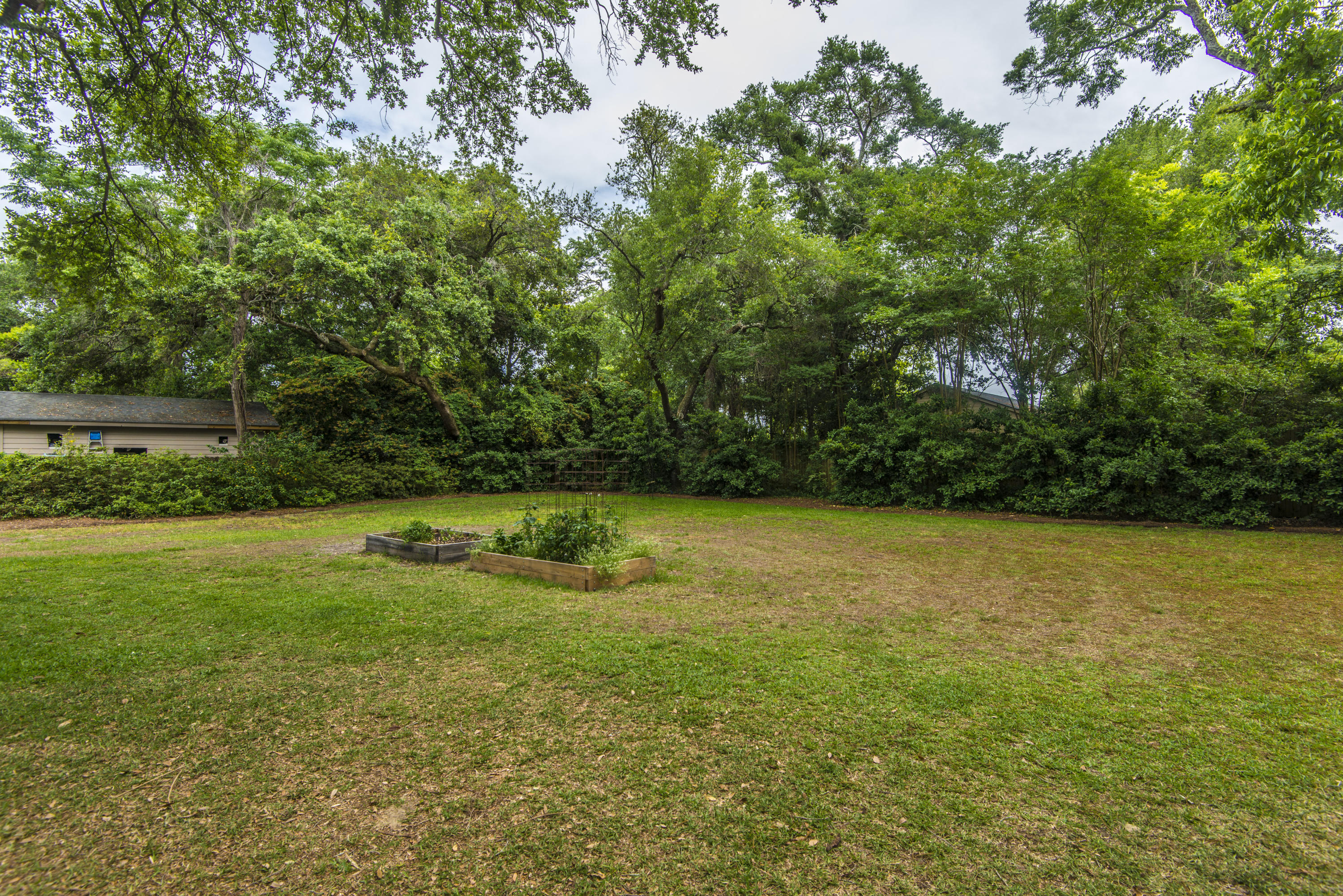 411 Japonica Road Mount Pleasant, SC 29464 - Photo 4 of 29 Rear yard