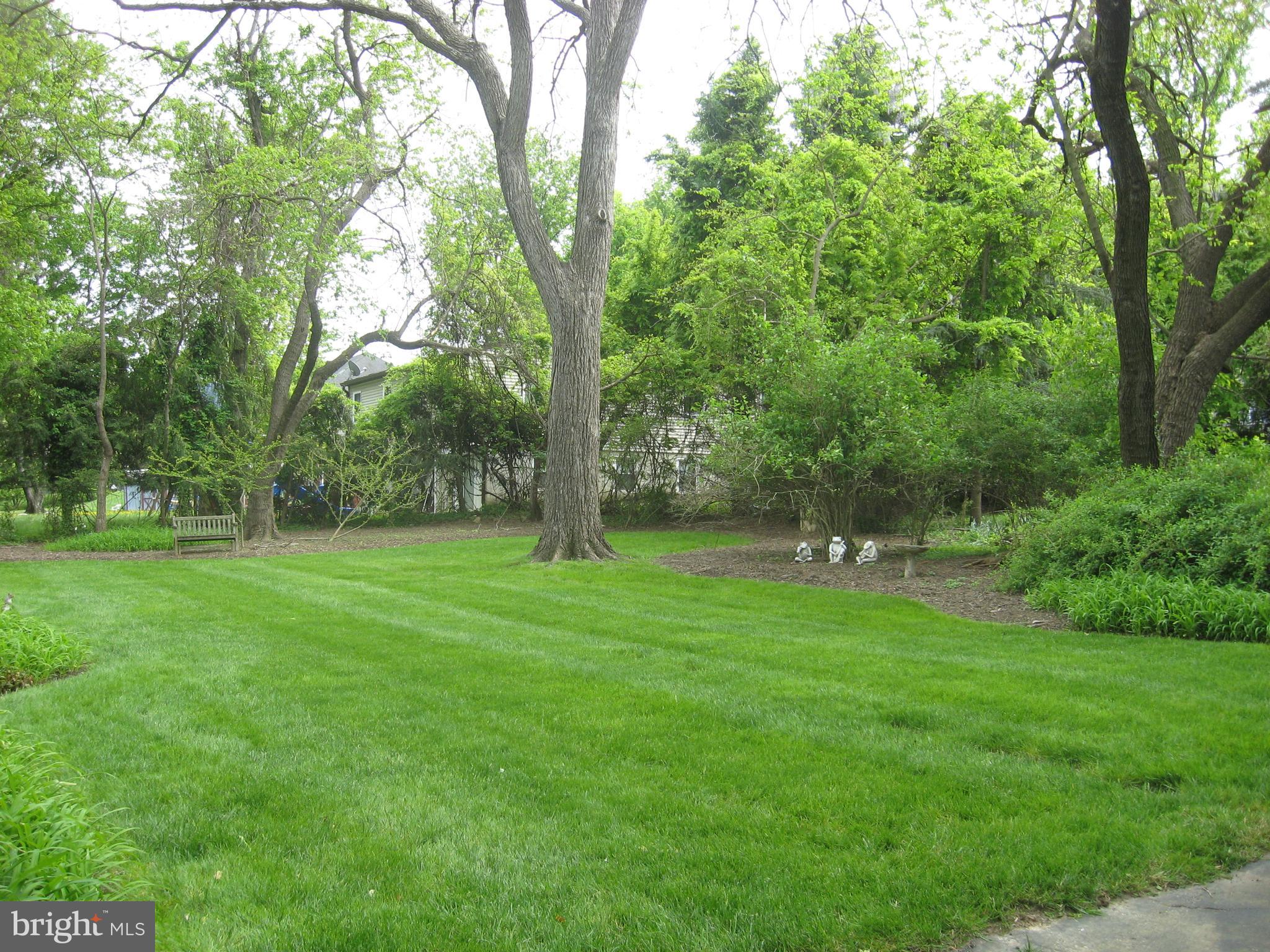 2607 Taney Road Baltimore, MD 21209 - Photo 3 of 6
