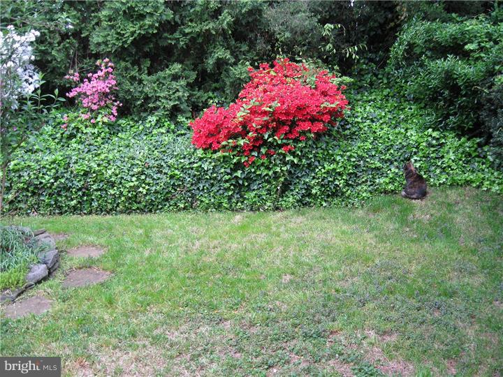 420 Lawrence Road Havertown, PA 19083 - Photo 8 of 14