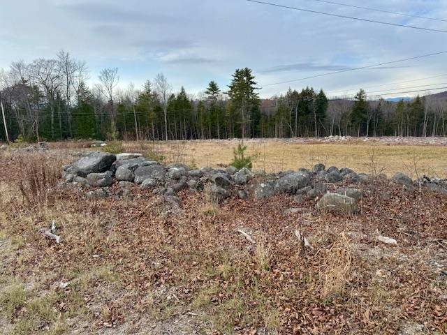 Tbd Towle Hill Road Freedom, NH 03836 - Photo 19 of 32