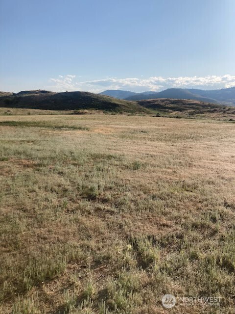 13 Grey Goose Road Omak, WA 98841 - Photo 5 of 9