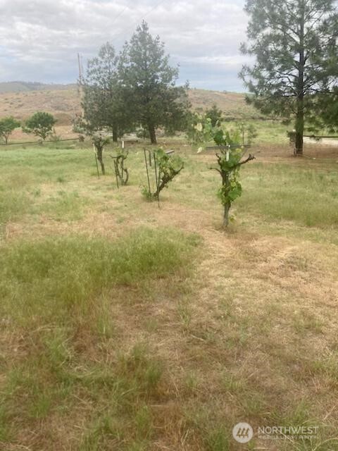 13 Grey Goose Road Omak, WA 98841 - Photo 8 of 9
