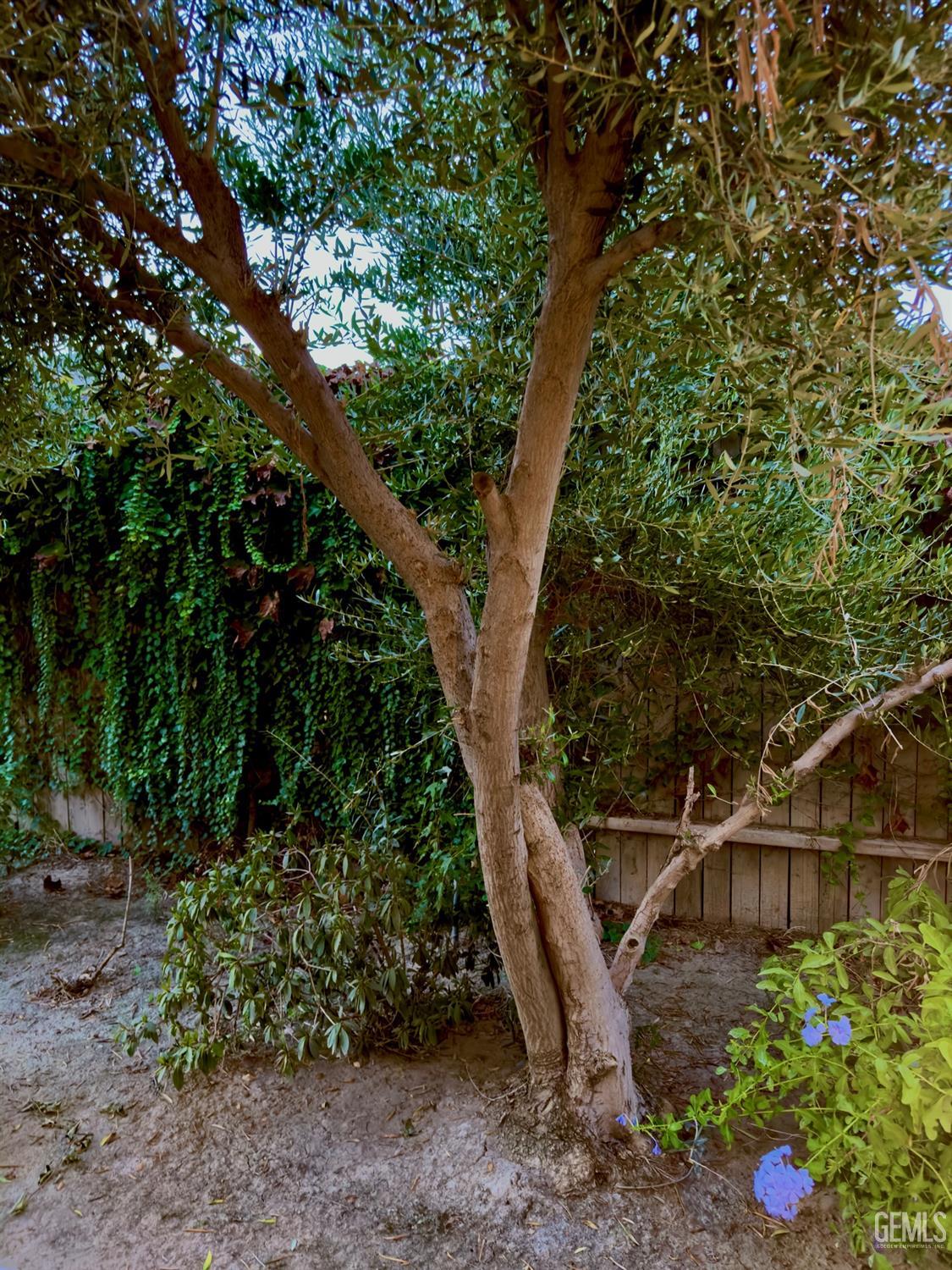 Undisclosed Address Bakersfield, CA 93311 - Photo 44 of 48 a view of an outdoor space