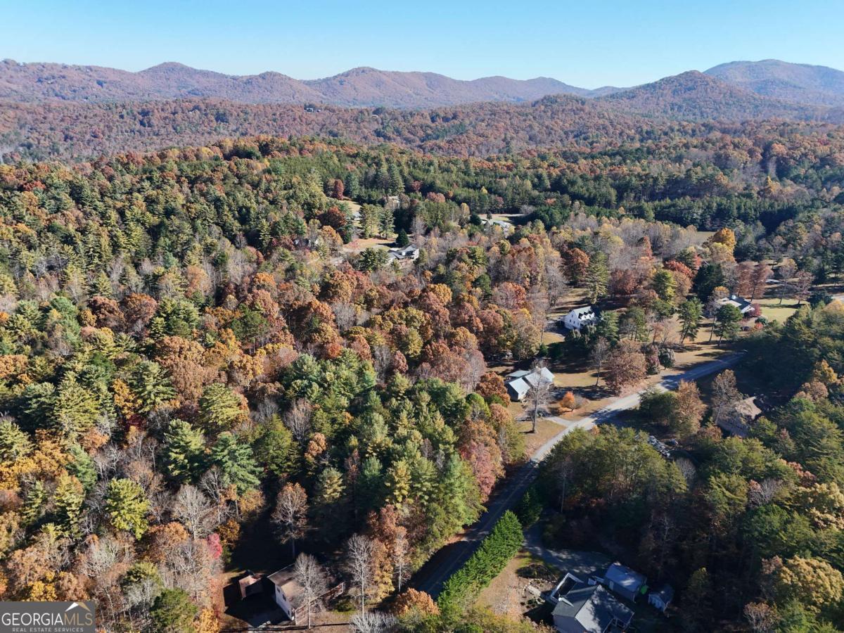 Lot 4 Lance Crossing Road Blairsville, GA 30512 - Photo 11 of 11